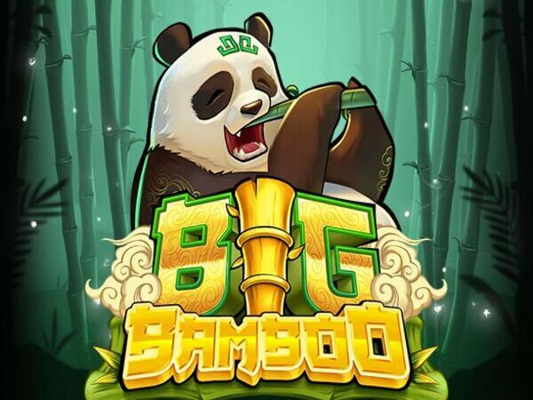 365 online casino